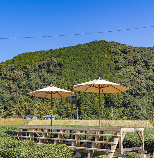 するがヌーン茶とは?イメージ01